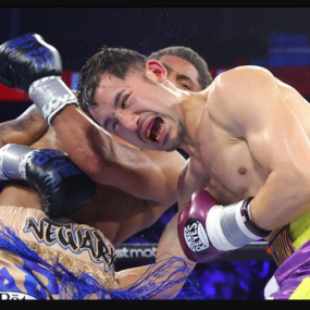 ต่อสู้ได้ทุกที่